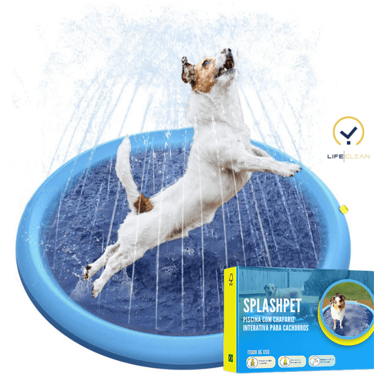 Splash Dog | O paraíso aquático do seu melhor amigo